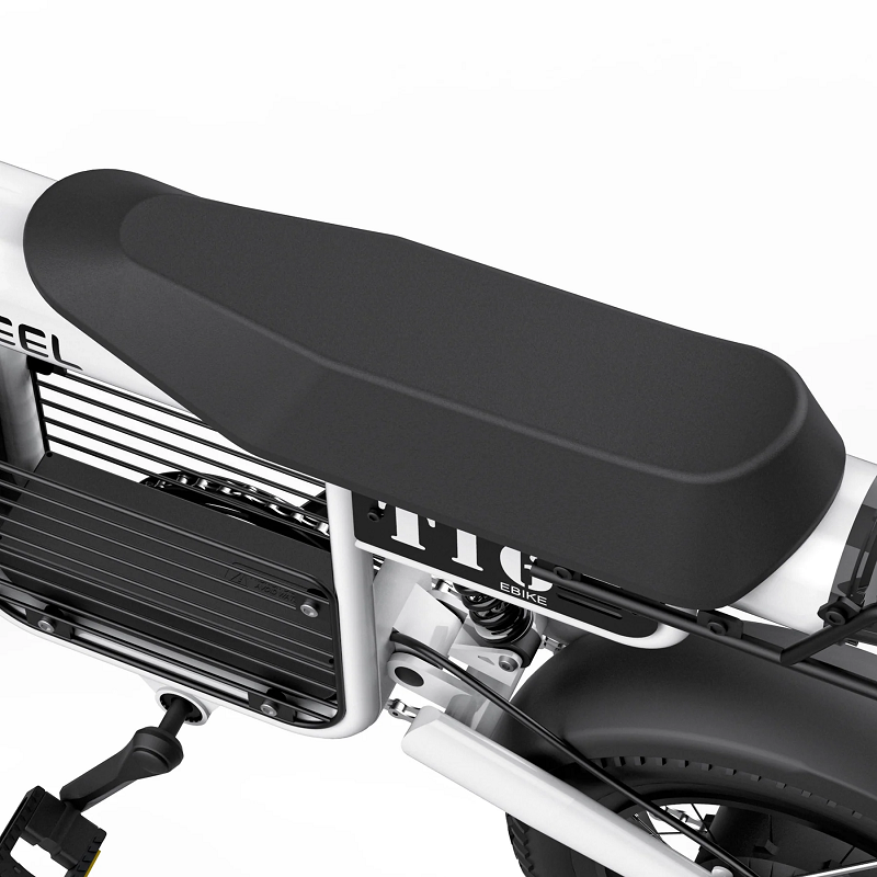 Coswheel T16 - електричеси велосипед 9