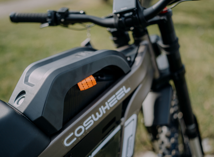 Coswheel R19 Bulgaria